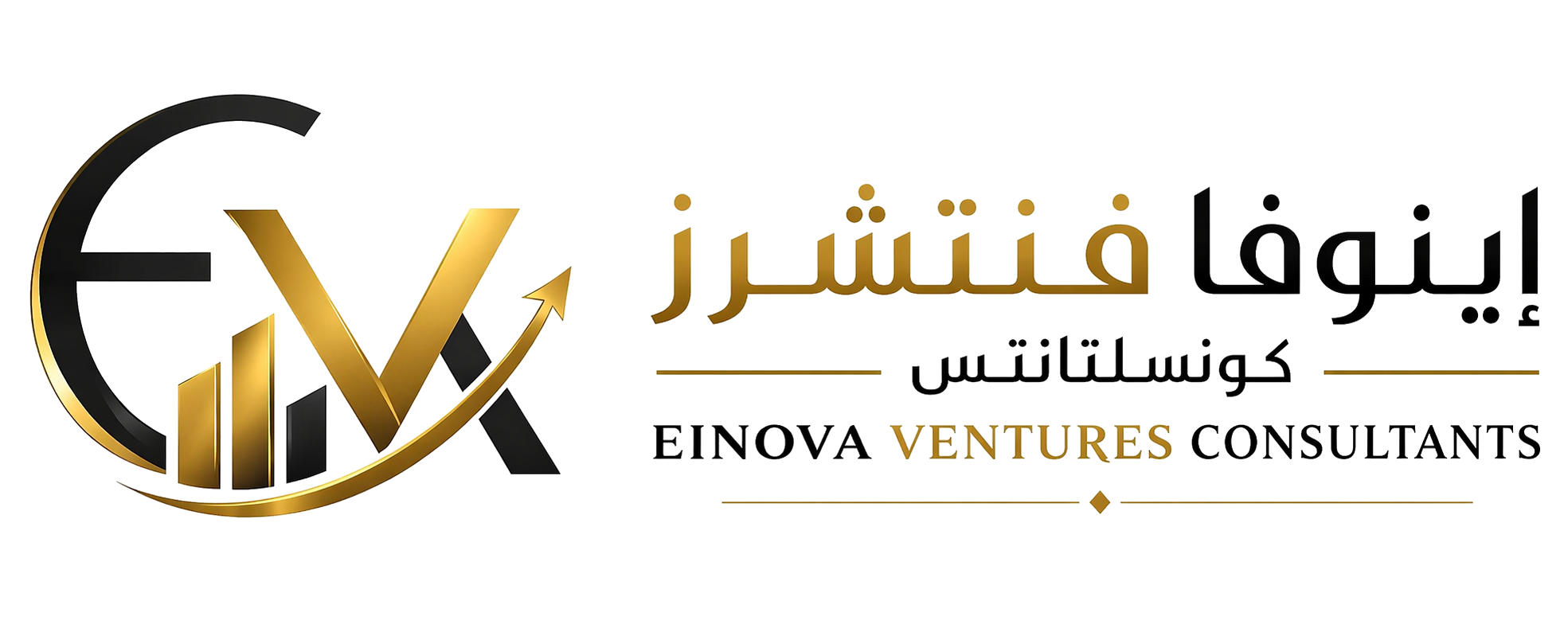 Einova Ventures Consultants logo